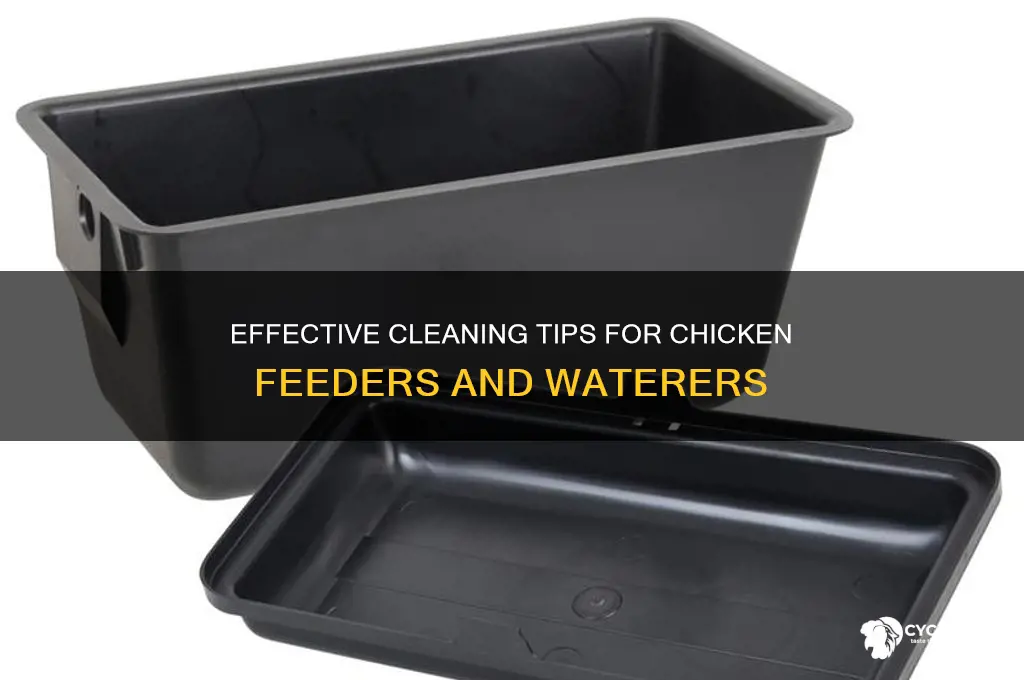 how to clean chicken feeders and waterers