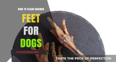Cleaning Chicken Feet for Dogs: A Safe and Nutritious Treat Guide