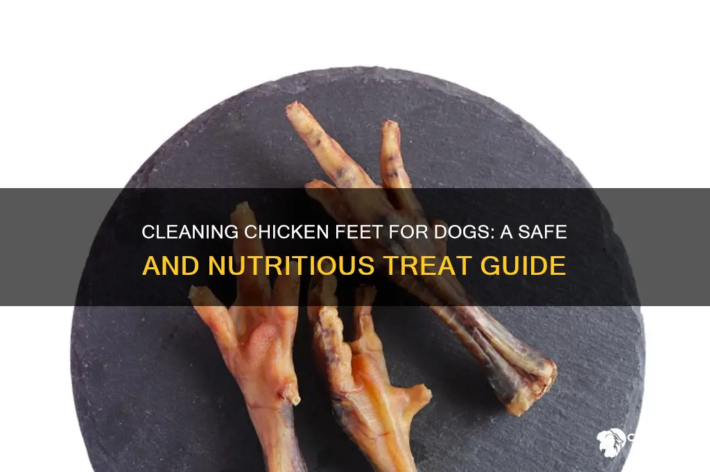 how to clean chicken feet for dogs