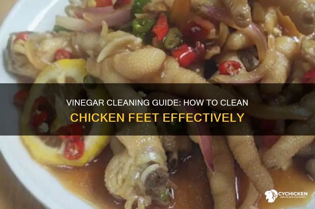 how to clean chicken feet with vinegar