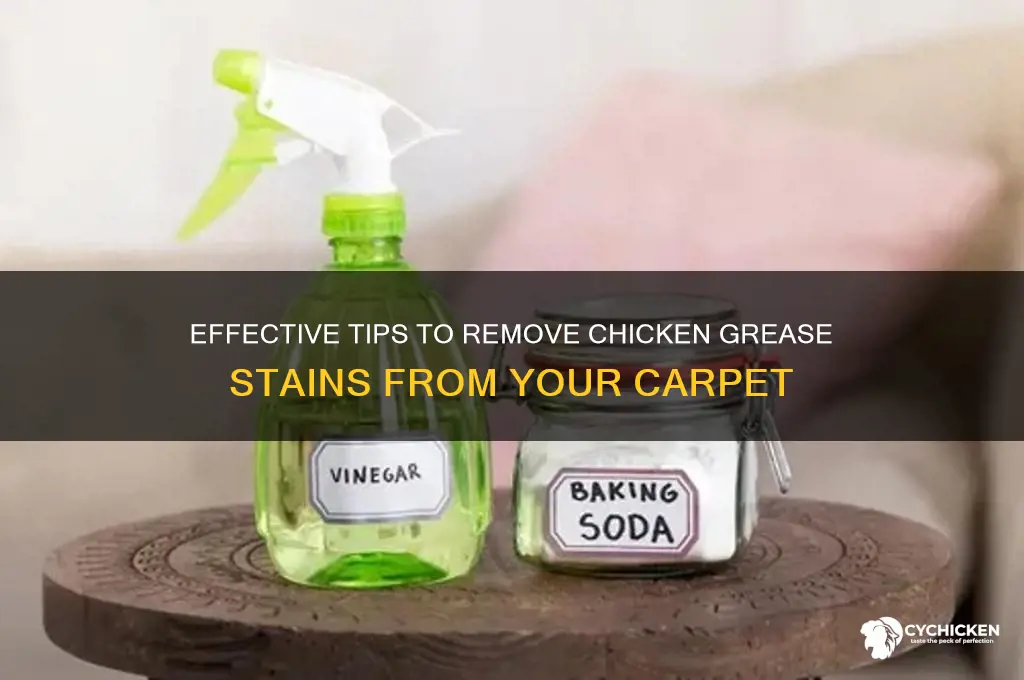 how to clean chicken grease from carpet