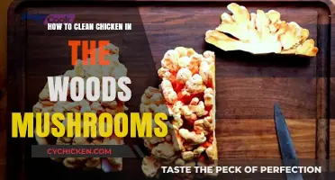 Cleaning Chicken of the Woods: A Step-by-Step Guide