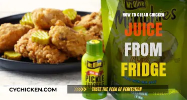 Quick Guide: Removing Chicken Juice Stains from Your Fridge