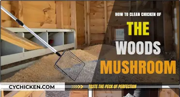 Cleaning Chicken of the Woods Mushrooms: A Simple Step-by-Step Guide
