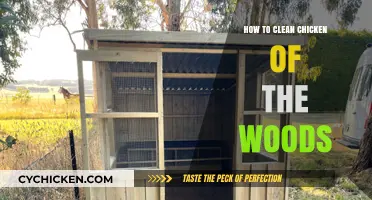 Mastering Chicken of the Woods Cleaning: A Step-by-Step Guide