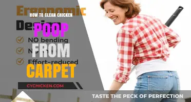 Effective Tips for Removing Chicken Poop Stains from Your Carpet