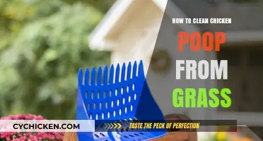 Effective Ways to Remove Chicken Poop Stains from Your Lawn