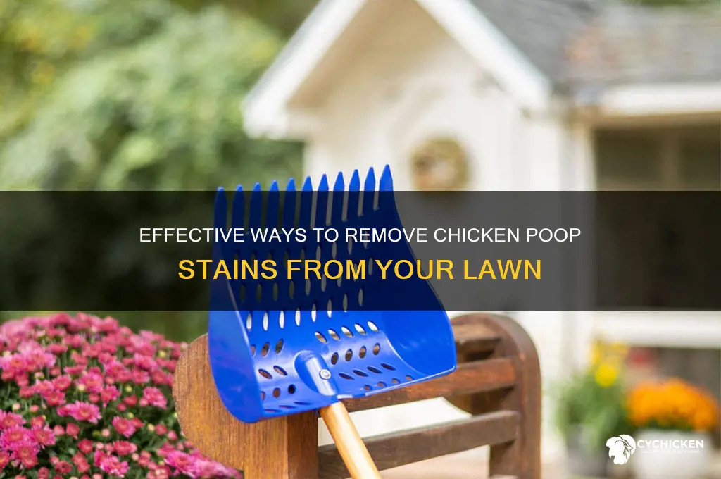 how to clean chicken poop from grass