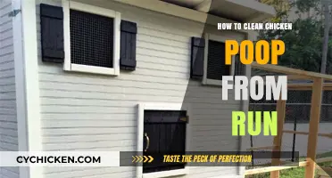 Effective Tips for Cleaning Chicken Poop from Your Coop Run