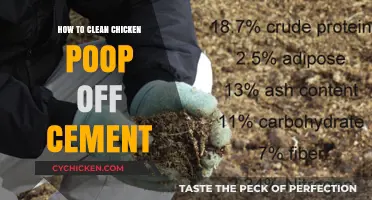 Effective Methods to Remove Chicken Poop Stains from Cement Surfaces
