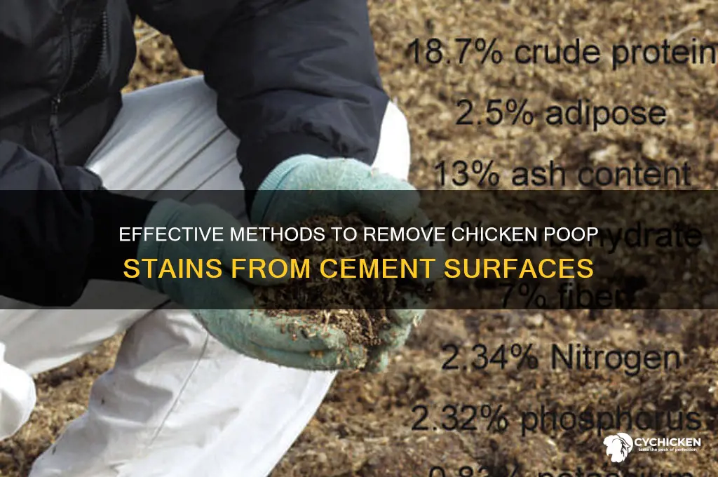 how to clean chicken poop off cement