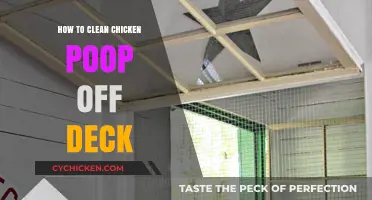 Effective Ways to Clean Chicken Poop Off Your Deck Easily