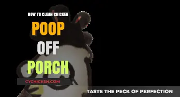 Effective Tips for Removing Chicken Poop from Your Porch Easily