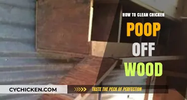 Effective Methods for Removing Chicken Poop Stains from Wood Surfaces