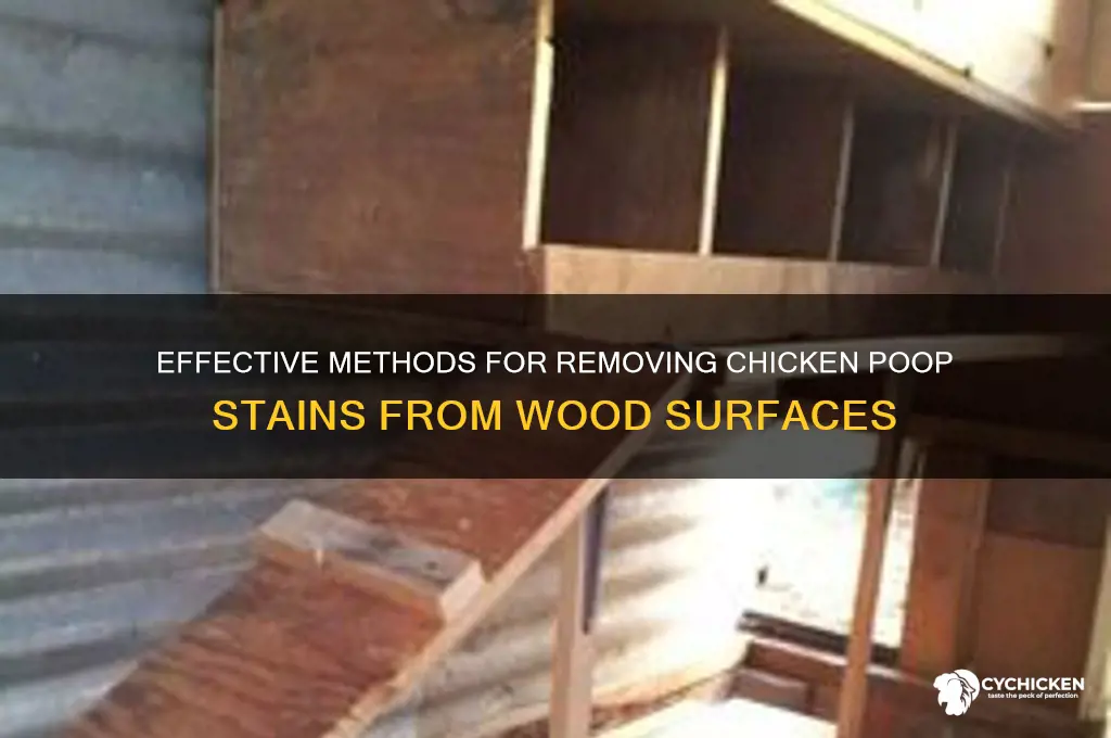 how to clean chicken poop off wood