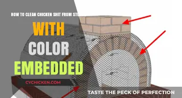 Cleaning Chicken Mess Off Stucco: Tips and Tricks