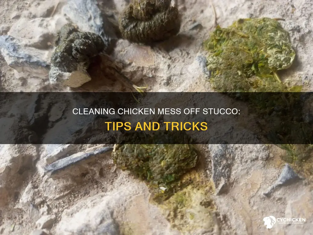 how to clean chicken shit from stucco with color embedded