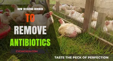 Effective Chicken Cleaning Techniques to Eliminate Antibiotic Residues Safely