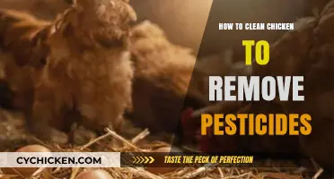 Effective Chicken Cleaning Techniques to Eliminate Pesticides and Ensure Safety
