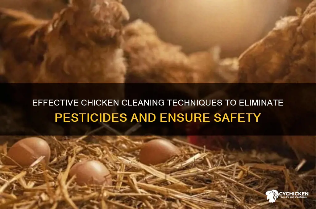 how to clean chicken to remove pesticides