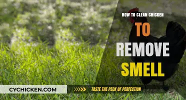 Effective Tips to Clean Chicken and Eliminate Unwanted Odors
