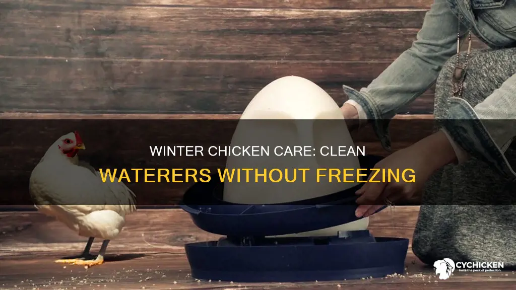 how to clean chicken waterer when freezing in winter