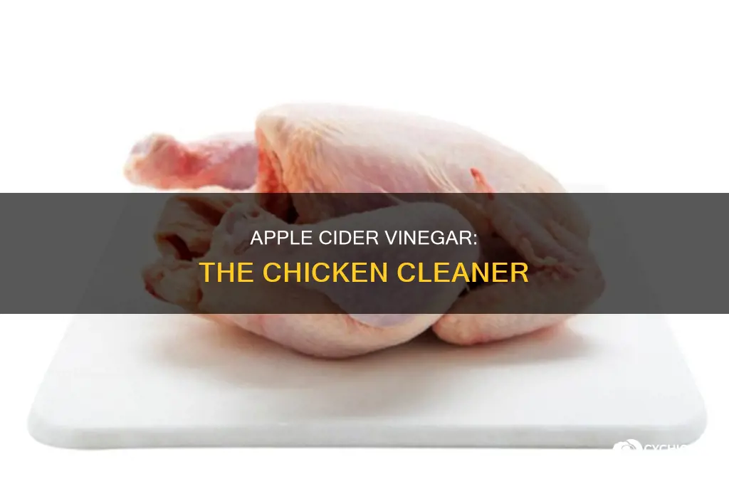 how to clean chicken with apple cider vinegar