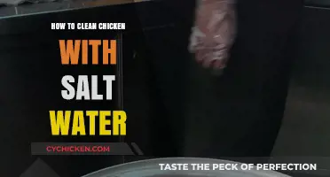 Effective Salt Water Cleaning Tips for Fresh and Safe Chicken