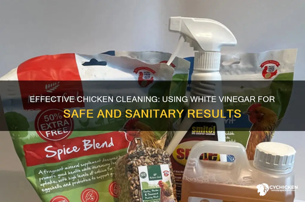 how to clean chicken with white vinegar