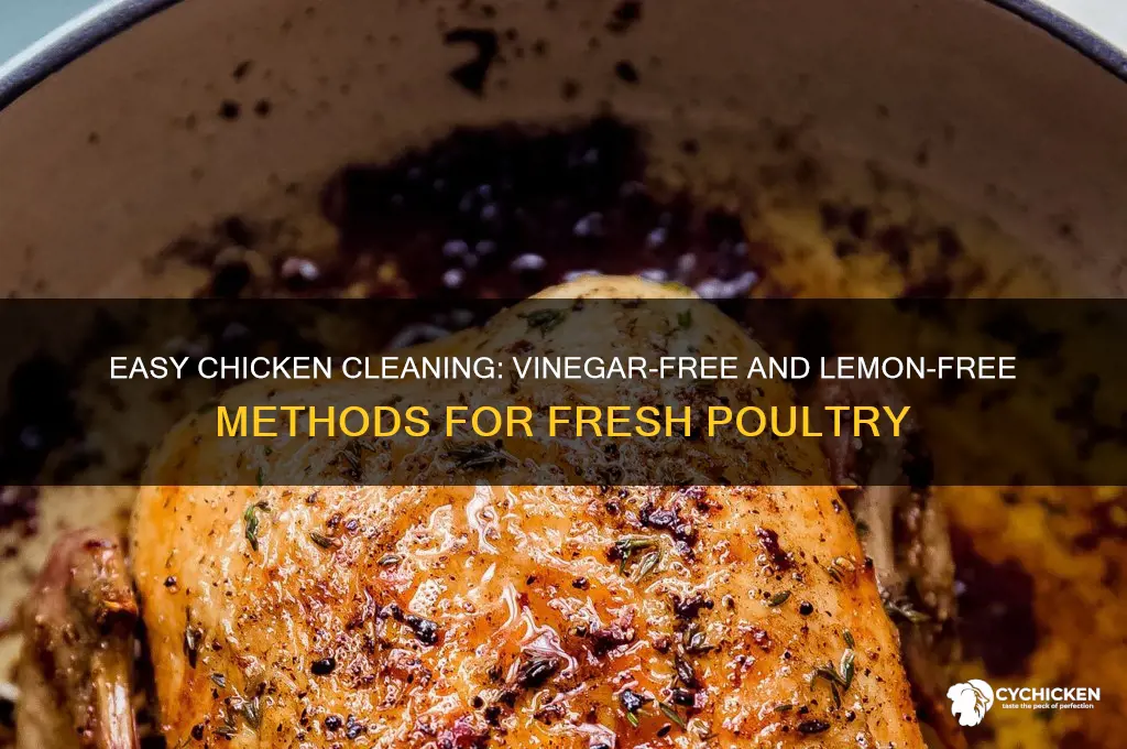 how to clean chicken without vinegar or lemon