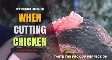 Proper Laceration Cleaning Techniques After Chicken Cutting Accidents