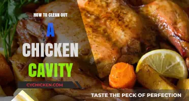 Mastering the Art of Cleaning a Chicken Cavity: A Step-by-Step Guide