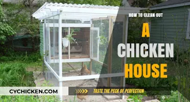 Effective Tips for Cleaning and Maintaining Your Chicken Coop