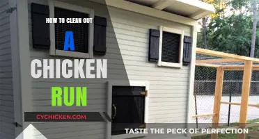 Efficiently Clean Your Chicken Run: A Step-by-Step Guide to Hygiene