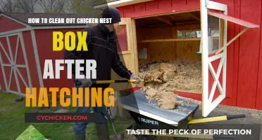 Keep Chicken Nest Boxes Clean After Hatching