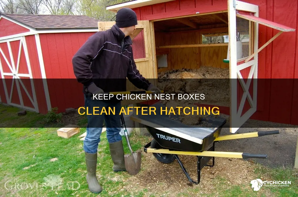 how to clean out chicken nest box after hatching