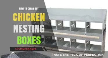Easy Steps to Clean and Maintain Chicken Nesting Boxes