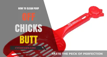 Quick Guide: Cleaning Poop from Your Chick’s Bottom Safely