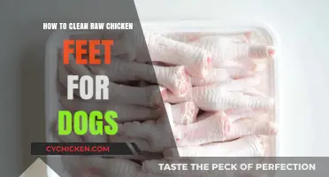 Cleaning Chicken Feet for Dogs: A Step-by-Step Guide
