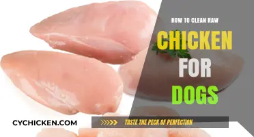 Safe Raw Chicken Cleaning Tips for Your Dog's Healthy Diet