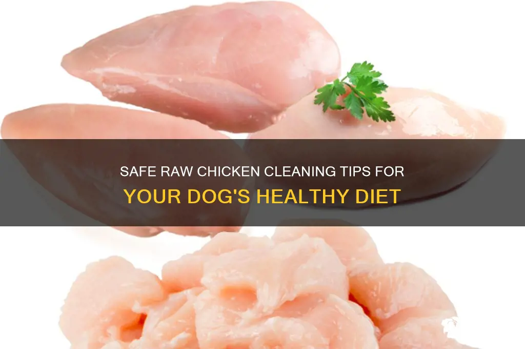 how to clean raw chicken for dogs