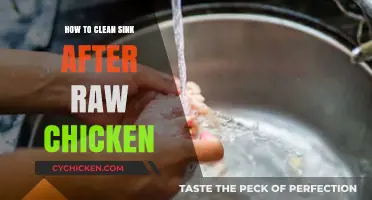 Safe Sink Cleaning: Removing Raw Chicken Germs Effectively and Easily