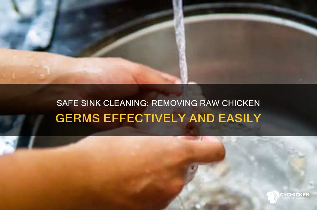 how to clean sink after raw chicken