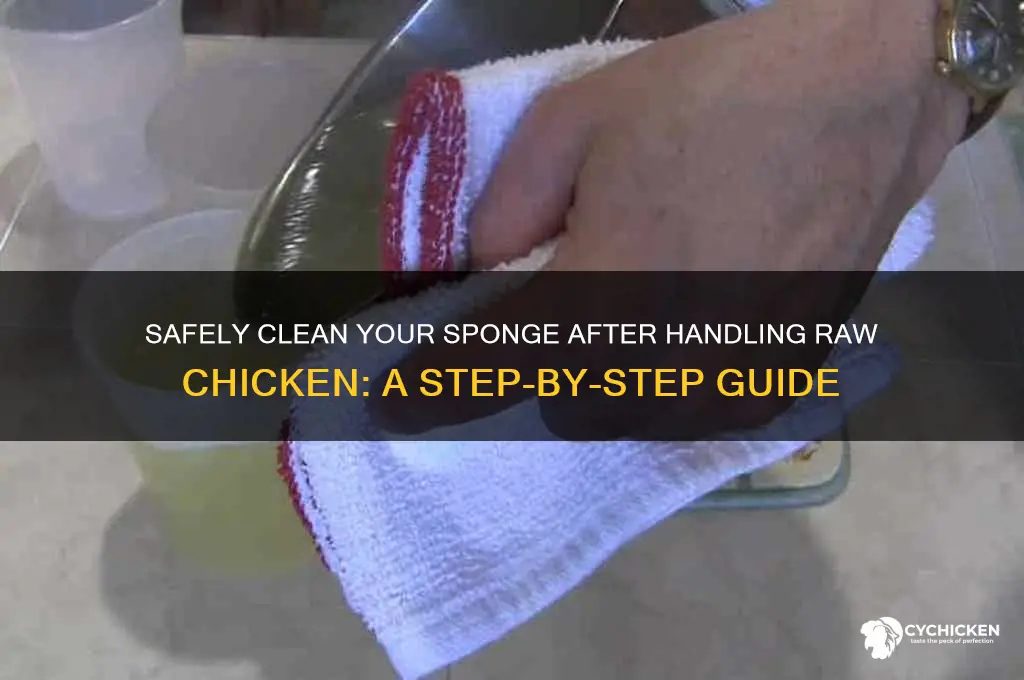 how to clean sponge after raw chicken