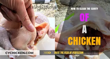Cleaning Chicken Cavity: A Step-by-Step Guide