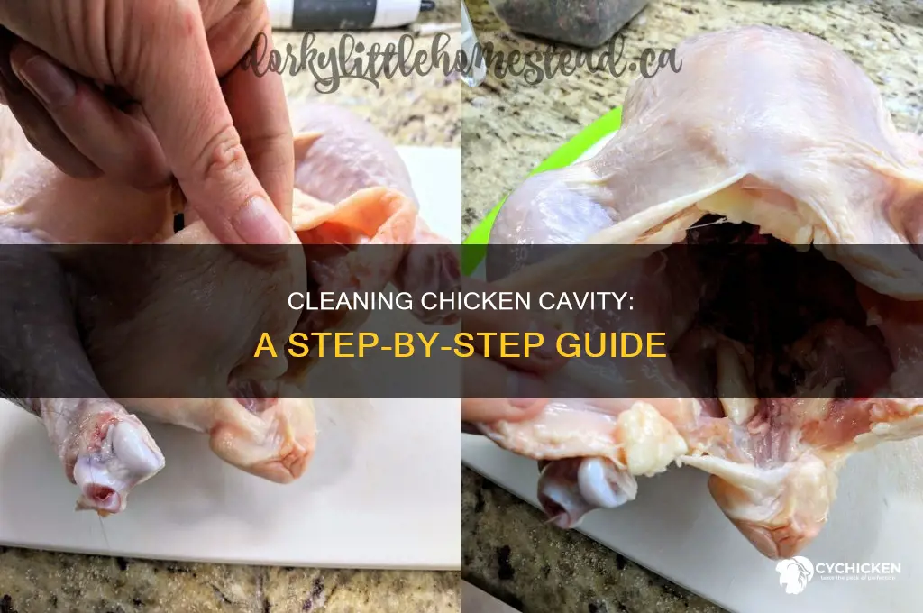 how to clean the cavity of a chicken