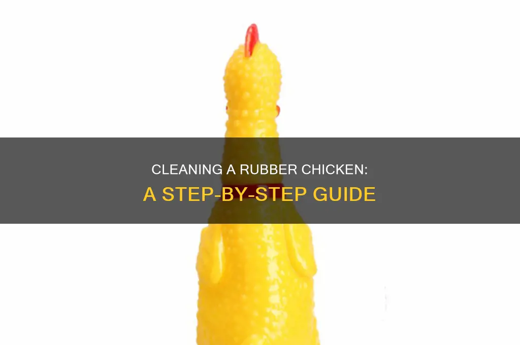 how to clean up a house rubber chicken