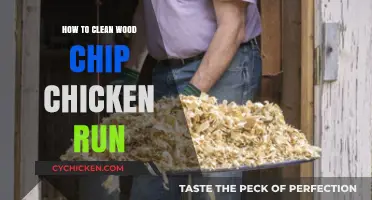 Effective Cleaning Tips for Your Wood Chip Chicken Run