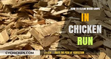 Cleaning Wood Chips in Chicken Coops: A Step-by-Step Guide