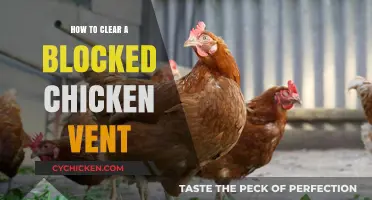 Effective Solutions for Clearing a Blocked Chicken Vent Safely